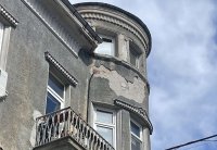 Над 80 получени сигнала за паднали дървета и клони в Пловдив