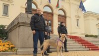 Кучето Фернанда отново посрещна депутатите пред Народното събрание (СНИМКИ)