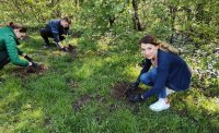 снимка 12 БНТ засади нова гора в Ловния парк в София (СНИМКИ/ВИДЕО)