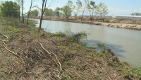 700 метра от коритото на река Стряма край село Трилистник вече са почистени
