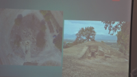 Набират средства за проучване на новооткритата тракийска гробница край Текето