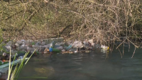Доброволци от Варна почистват река Девня от натрупани боклуци