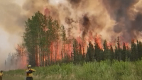 Горски пожари бушуват в канадската провинция Албърта