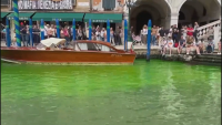 Мистерия във Венеция - градът осъмна със зелени води