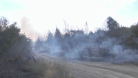 Човешка небрежност е вероятната причина за големия пожар край Бургас