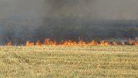 Пожар горя край магистрала "Тракия" в Пловдивско