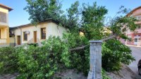 Продължава отстраняването на щетите след бурята в Харманли (Снимки)
