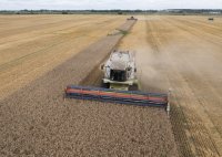 Пет държави, сред които България, искат удължаване на забраната за внос на украинско зърно
