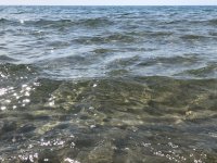Температурата на водата по Северното Черноморие падна до 10° заради метеорологично явление