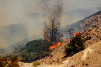 Пожарите в средиземноморските страни взеха 40 жертви