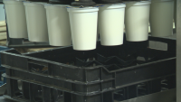 До месеци пускат на пазара първите защитени марки българско кисело мляко