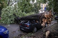 Ураганен вятър изкорени дървета в Италия (Снимки)