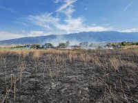 Голям пожар гори край зеленчуковата борса до петричкото село Кърналово