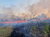 Нов пожар пламна в Пазарджишко (СНИМКИ)