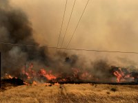 Пожарите в Гърция изгориха над 50 000 хектара растителност и засягат едни и същи райони