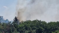 Пожар гори в парк "Тюблето" в Казанлък