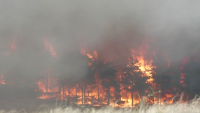 Пътят между три села в Бургаско остава затворен заради пожара