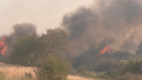 Нов пожар в Централна Гърция, един човек е загинал