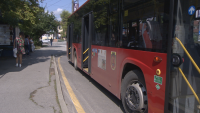 Пътна полиция санкционира шофьора, дал на неправоспособна жена да управлява автобус в Перник