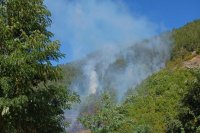 Пожар бушува в смесена гора край маданското село Върбина