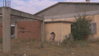 Врата на ограда падна и уби 4-годишно дете в Петрич