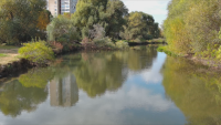 10 години коритото на река Марица в Пловдив не е почиствано от дървета и храсти