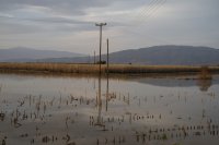 В гръцките области Тесалия и Евбея са паднали най-много валежи при двата циклона