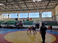 120 момчета спориха за медалите на турнира по борба "Лютфи Ахмедов"