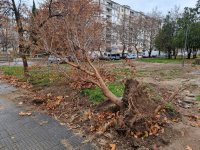 Поривите на вятъра в Сливен достигат до 90 км/час