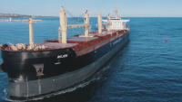 Корабът "Рожен", който беше блокиран в Израел, акостира във Варна