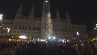 Коледен дух във Виена: Врати отвори Коледният базар