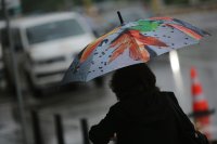 Значителни количества валежи в някои части на страната