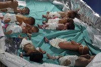 Сражения около главната болница в Газа, Израел предоставя кувьози за недоносените бебета