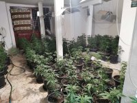 Разкриха две наркооранжерии във Варна