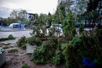 Десетки сигнали за закъсали автомобили, паднали дървета и в Шуменско