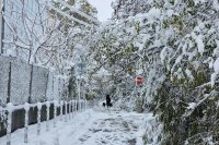 Обстановката в София се нормализира