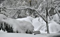 Полицаи спасиха бедстващи младежи в снега край село Душинци