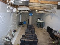 Полицията в Русе разби оранжерия за марихуана (СНИМКИ)
