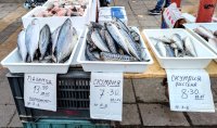 снимка 2 Преди Никулден: Опашки за риба на Женския пазар (Снимки)