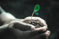 България ще гласува "въздържал се" по европейски регламент, свързан с растенията и ГМО храните