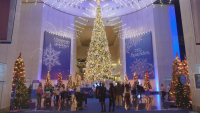 Коледа в Чикаго: Елхи от различни държави по света, включително България