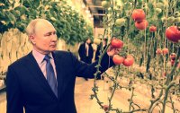 Путин се пошегува за работата си: "Не се напрягам"
