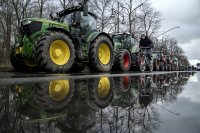 Протестите в Германия: Защо местните фермери се страхуват за оцеляването на отрасъла си?