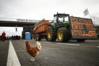 Фермерите ще протестират в Брюксел до срещата на върха на ЕС