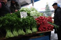 Криза в зеленчукопроизводството: Все повече земеделци от Петричкия район се отказват от бизнеса си