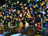Интерактивно пътешествие в света на Ван Гог в музей в Букурещ (СНИМКИ)