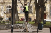Столична община премахва сухи и опасни дървета край храма "Св. Александър Невски"