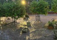 Блокирани хора в автомобили, паднали дървета и наводнени домове след бурята в Плевен (ОБЗОР)
