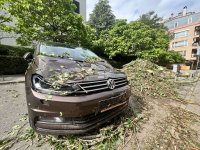 След бурята: Дърво падна върху автомобил в кв. "Редута" (СНИМКИ)