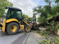 Стотици абонати край Ловеч остават без ток след бурята